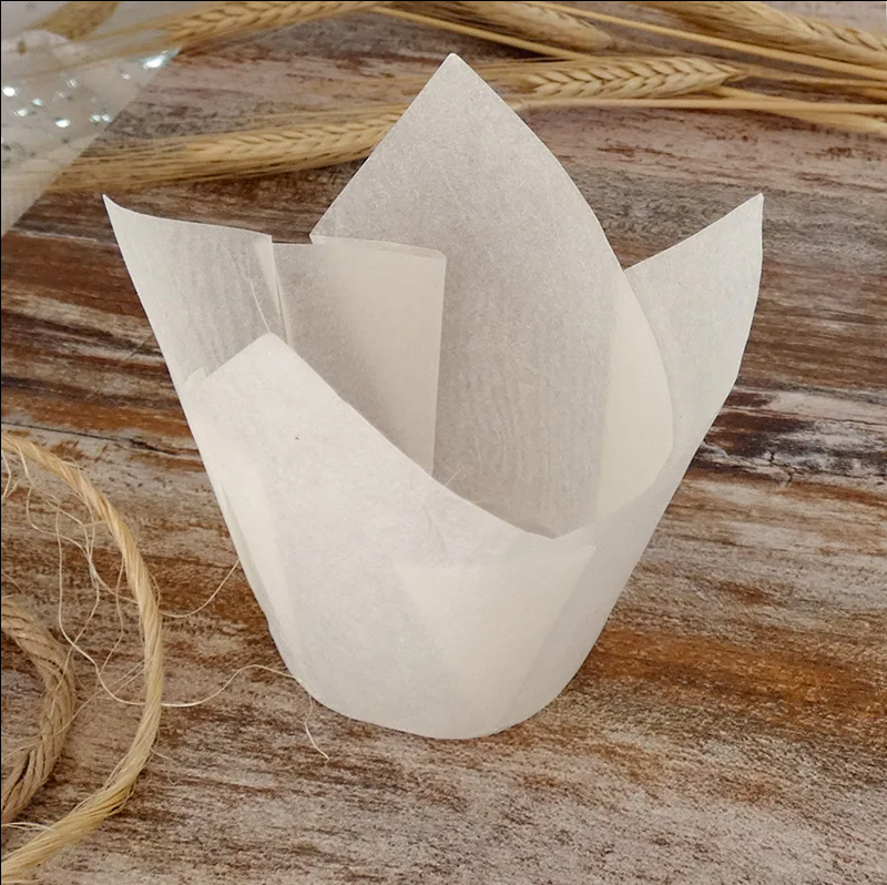 Tulipa Blanca