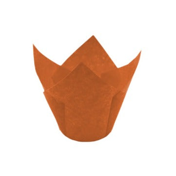 Tulipa Naranja
