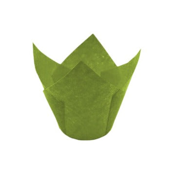Tulipas Verde